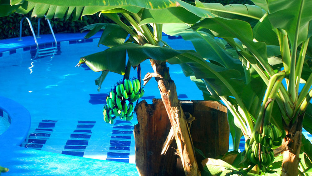 Hotel South Beach - Beachfront Jacó Zewnętrze zdjęcie